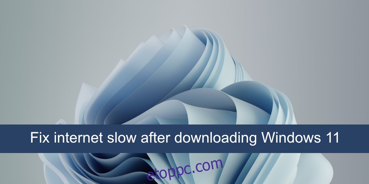 javítsa az internet lassúságát a Windows 11 letöltése után