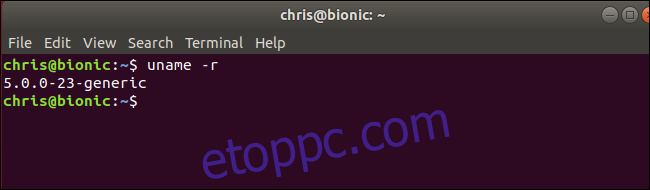 uname parancs, amely az Ubuntun futó Linux kernel 5.0-t mutatja 
